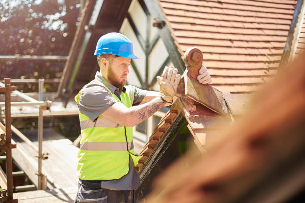Best Storm Damage Roof Repair  in Elmwood Park, IL